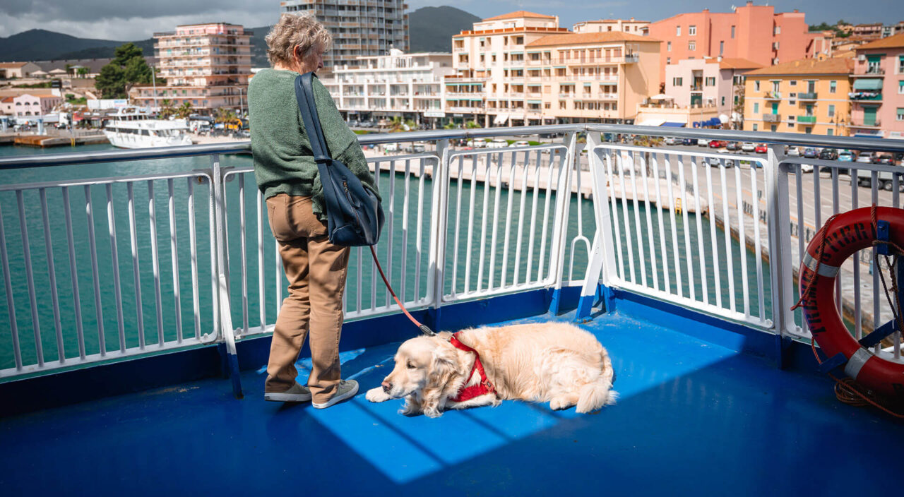 Relax cane animale a bordo traghetto per Elba