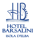 logo barsalini