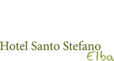 logo santo stefano